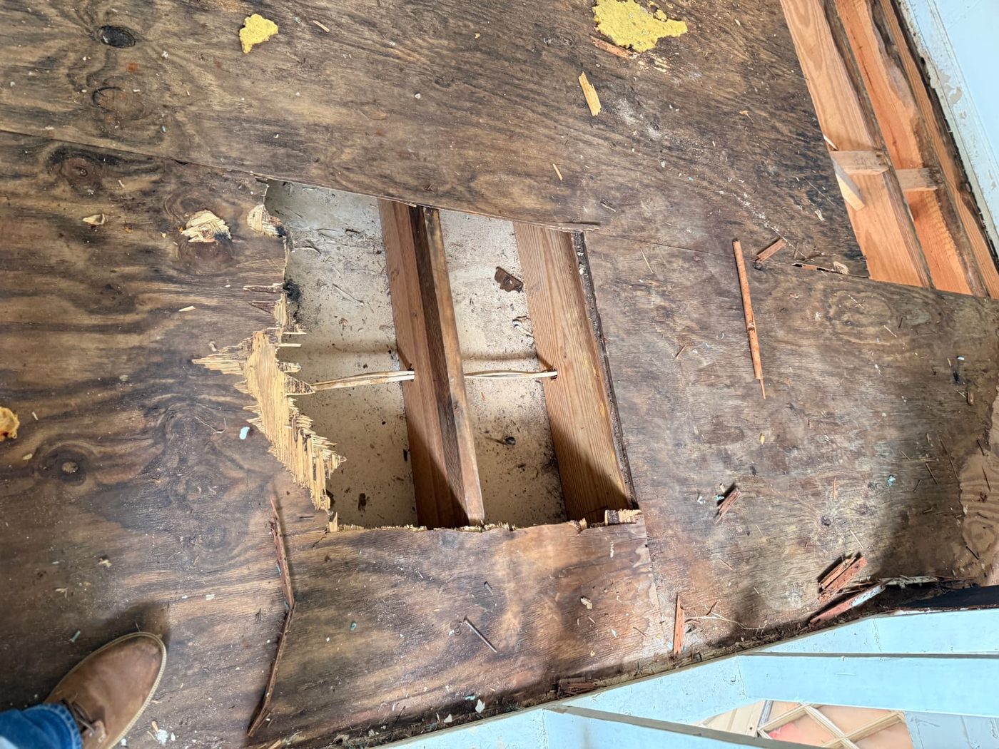 Lawrence project — subfloor cut back to expose framing during structural repair