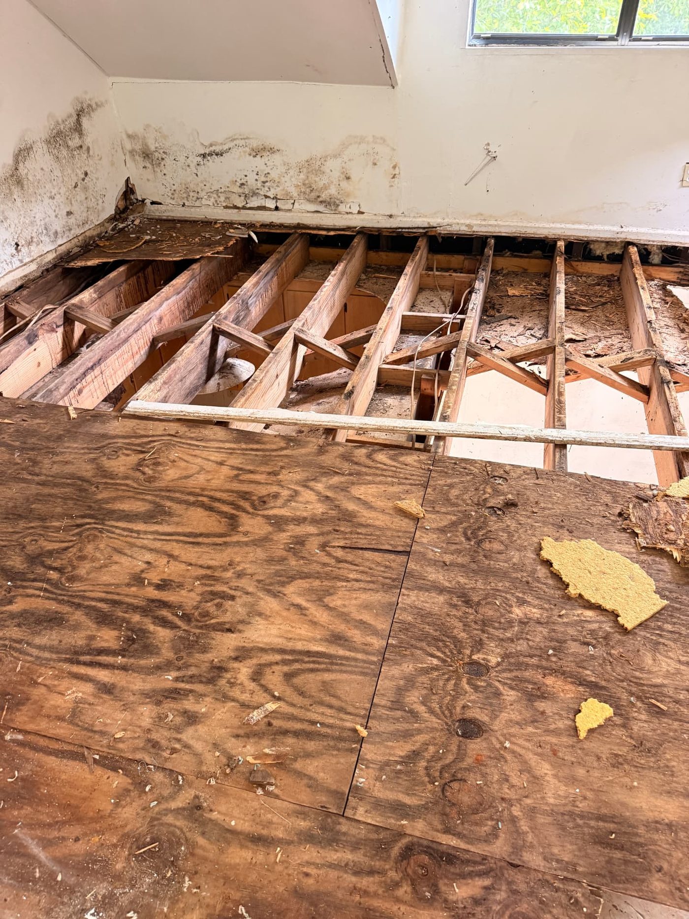Lawrence project — floor opened during renovation, exposing joists and water damage