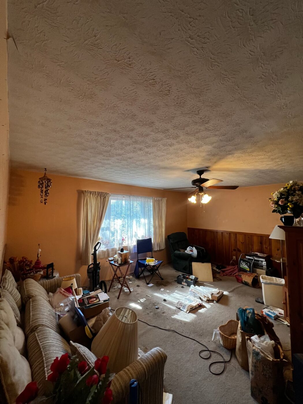 Hilltop Haven living room before renovation
