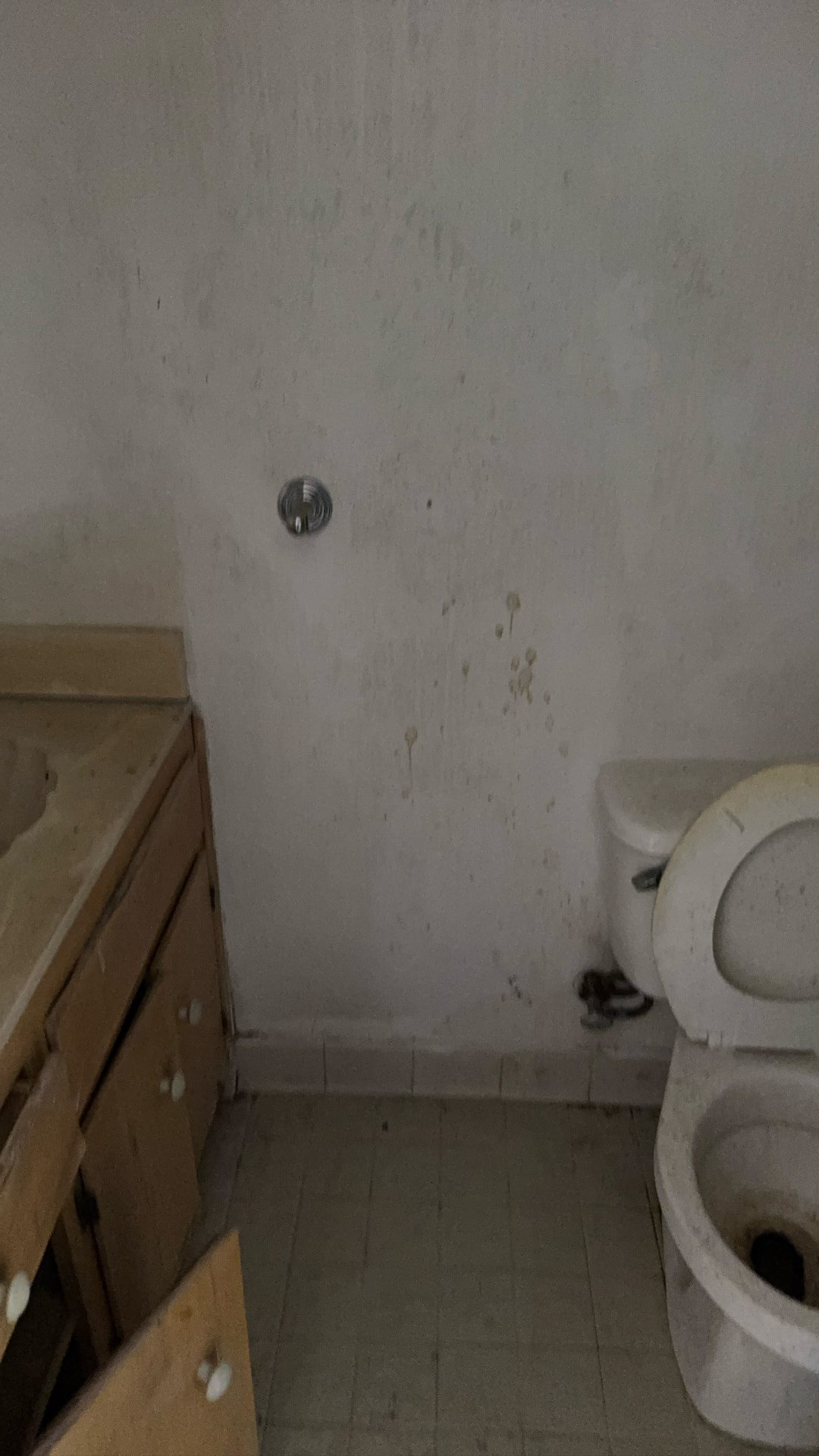 Lawrence project — original bathroom fixtures and tile floor before renovation